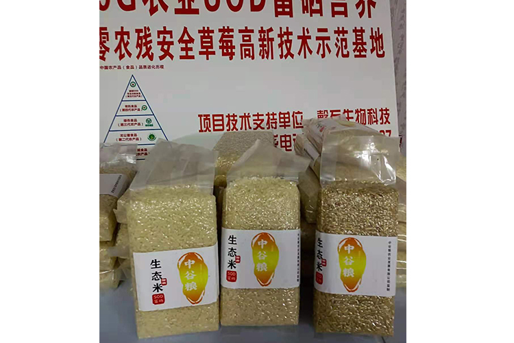 生态米