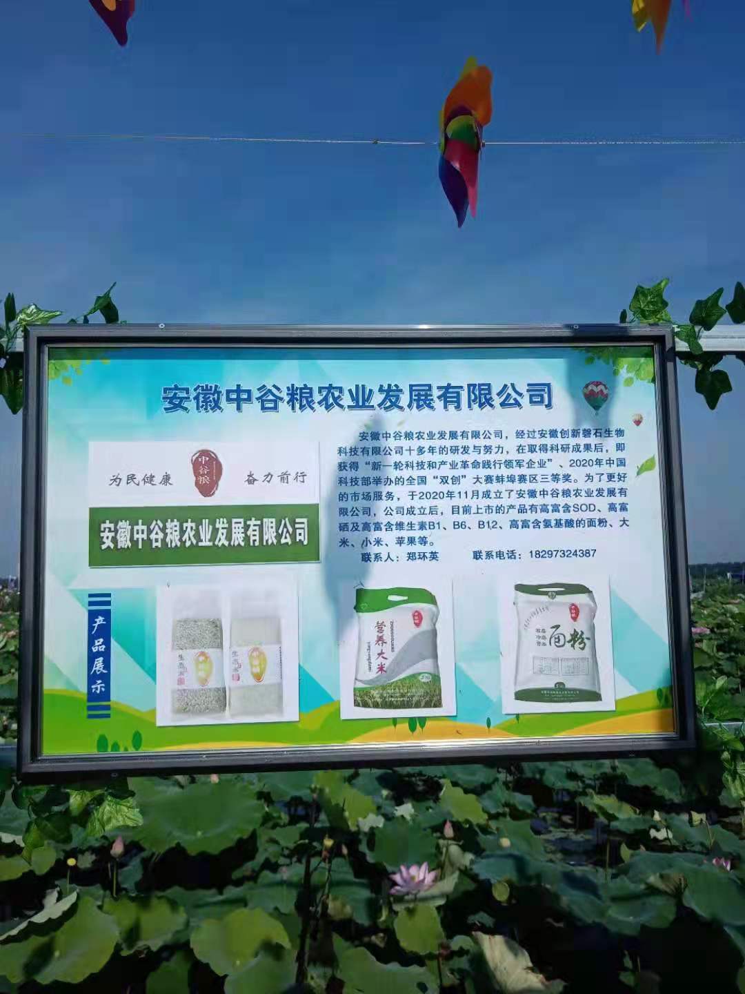 广告牌