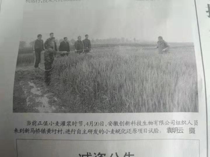 报纸2