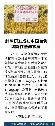 功能性大米蚌埠研发