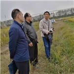 环境