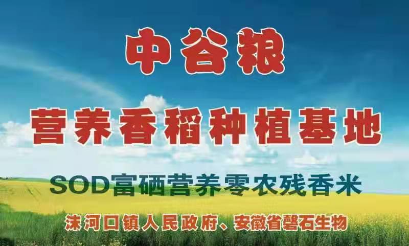 产品中心1