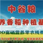 养殖基地
